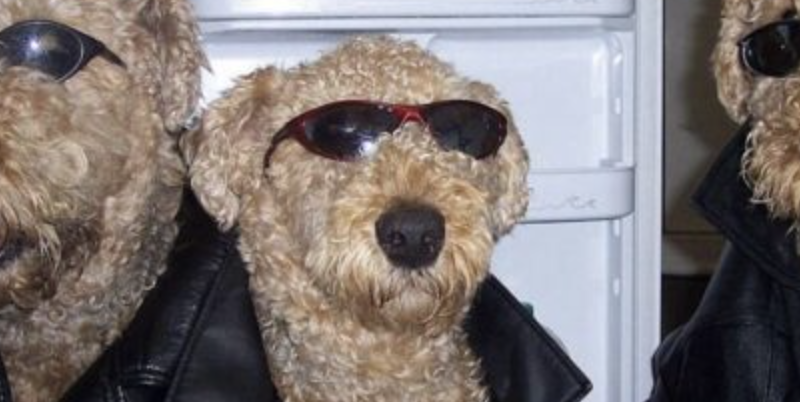 Memetic Monday: This Better be Good